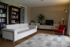 DSC00976-Medium-e1353590262269