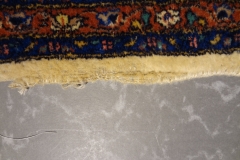 DSC05429-e1465557786796